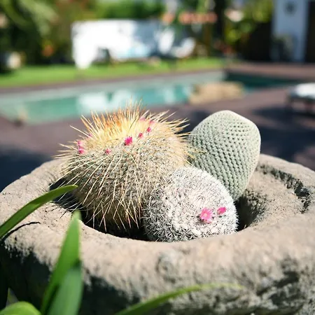 Bed & Breakfast Kharisma 4*